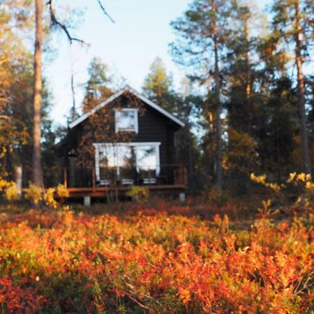 Lapintintti Eco-Cabin In Inari Bagian luar foto