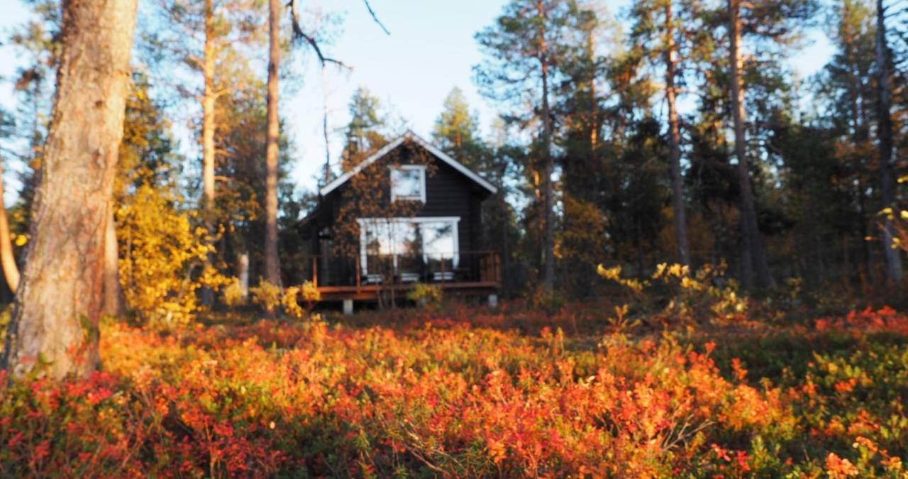 Lapintintti Eco-Cabin In Inari Bagian luar foto